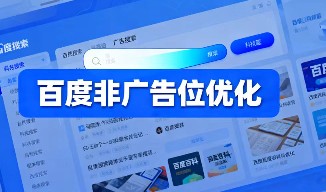 百度非广告位优化